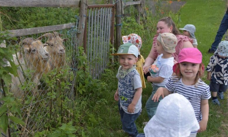 kinderkrippe eselohr bei den ziegen2 pm