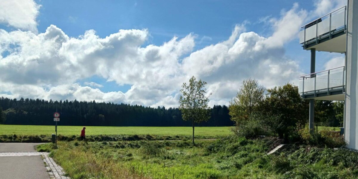 Das Waldgebiet Feurenmoos  vom Schoren aus gesehen. Foto: him