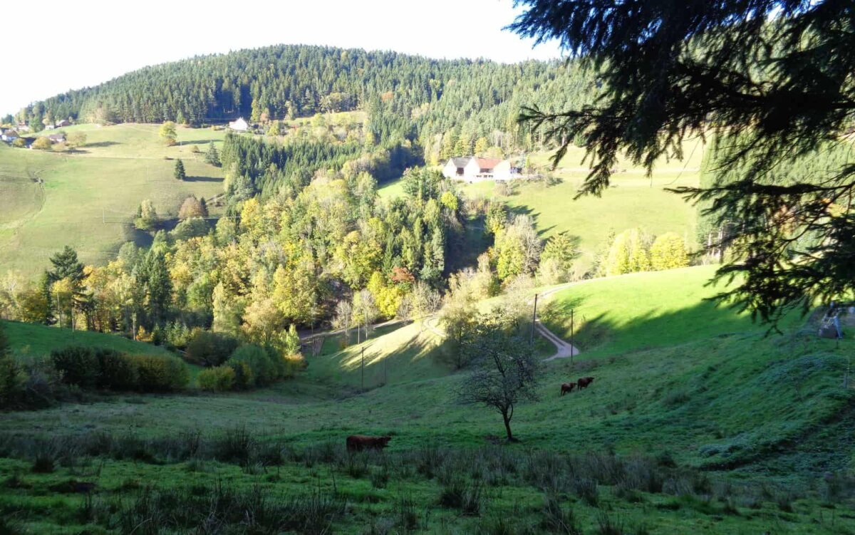 Wanderlandschaft im Kreis Rottweil. Archivfoto: him