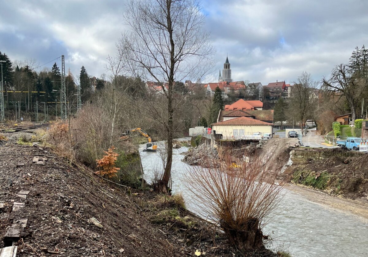 Bei der naturnahen Umgestaltung des Neckars kommen „lebendige Baumaterialien“ zum Einsatz: Weidenruten aus der Region werden ebenso verbaut wie ausgediente Weihnachtsbäume (Foto: Landesgartenschau Rottweil / Ruess).