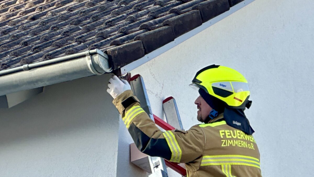 Feuerwehrmann Roth aus Zimmern rettet hier einen Vogel aus misslicher Lage. Foto: Peter Arnegger