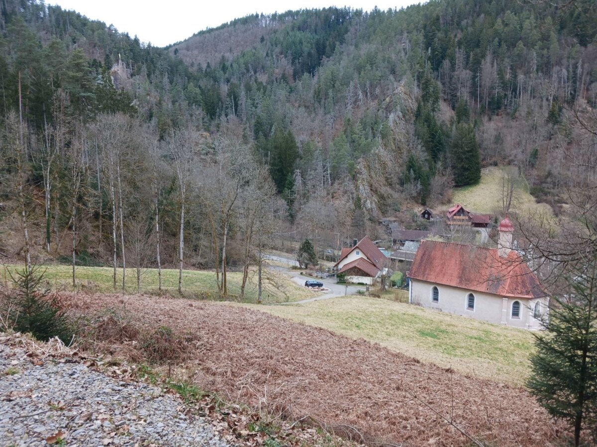 Die Falkensteiner Kapelle vom künftigen Bestattungswald aus gesehen.. Foto: him