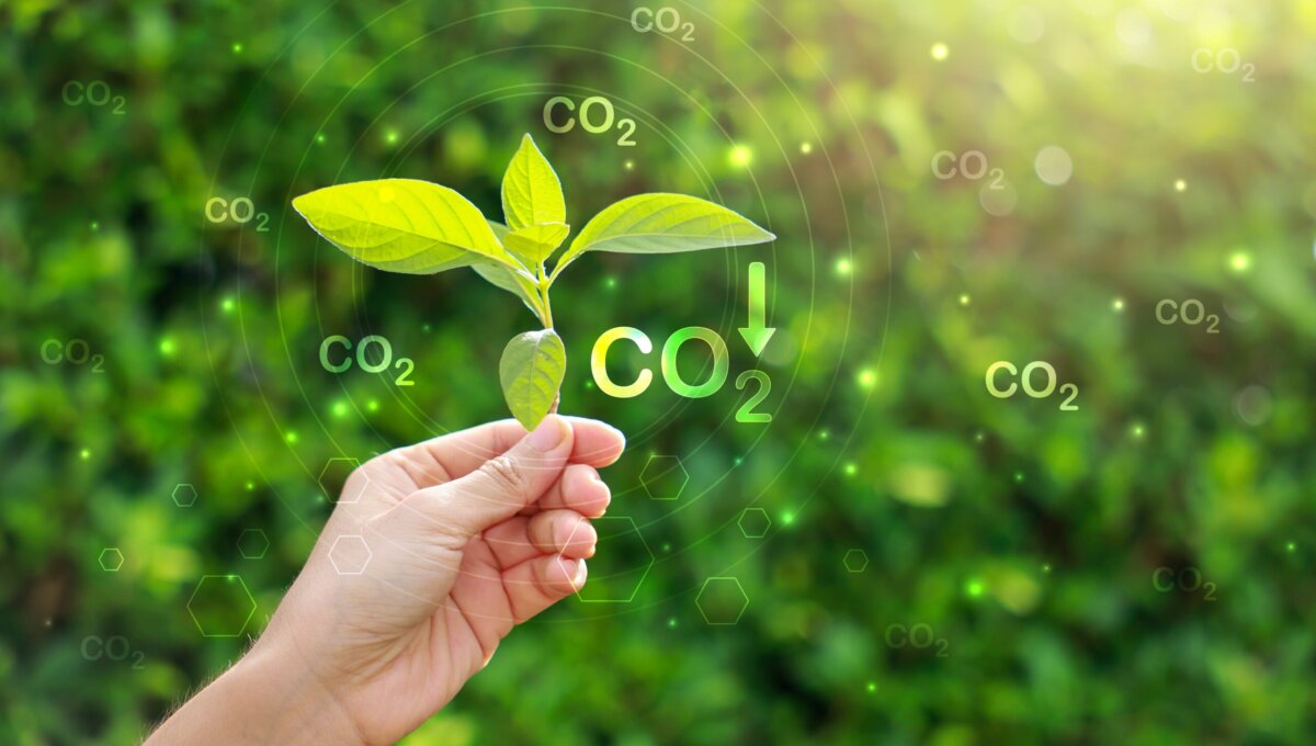 Symbol-Foto: Shutterstock