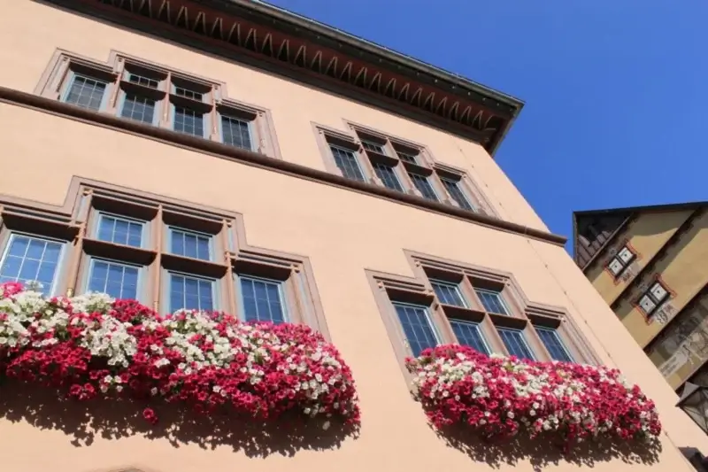 Das Alte Rathaus in Rottweil. Bild: Stadt Rottweil / Hermann