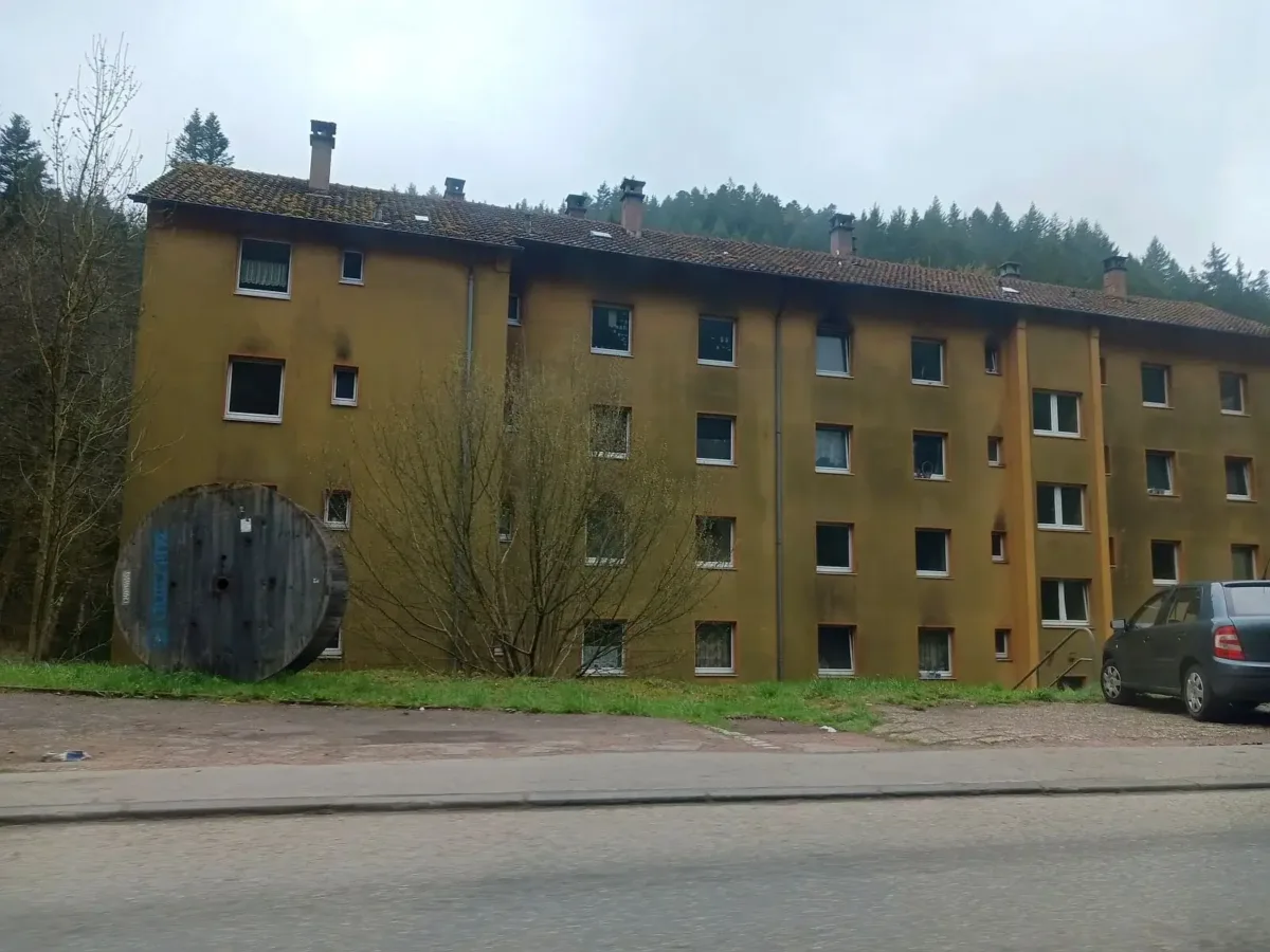 Probleme mit Hunden im Meierhof führen zu einer Satzungsänderung. Foto: him