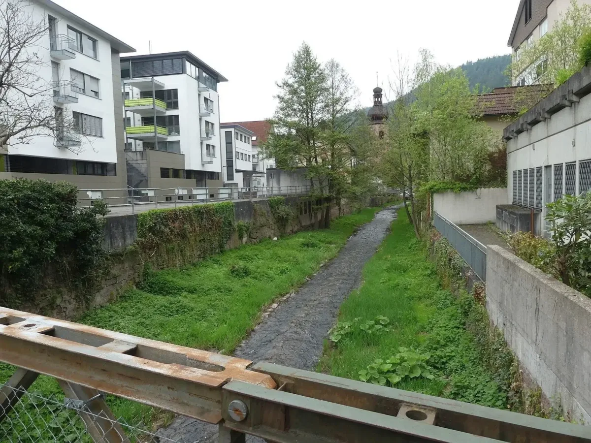 Die Sanierung und Schiltachrenaturierung am Brestenberg wird  warten müssen. Foto: him