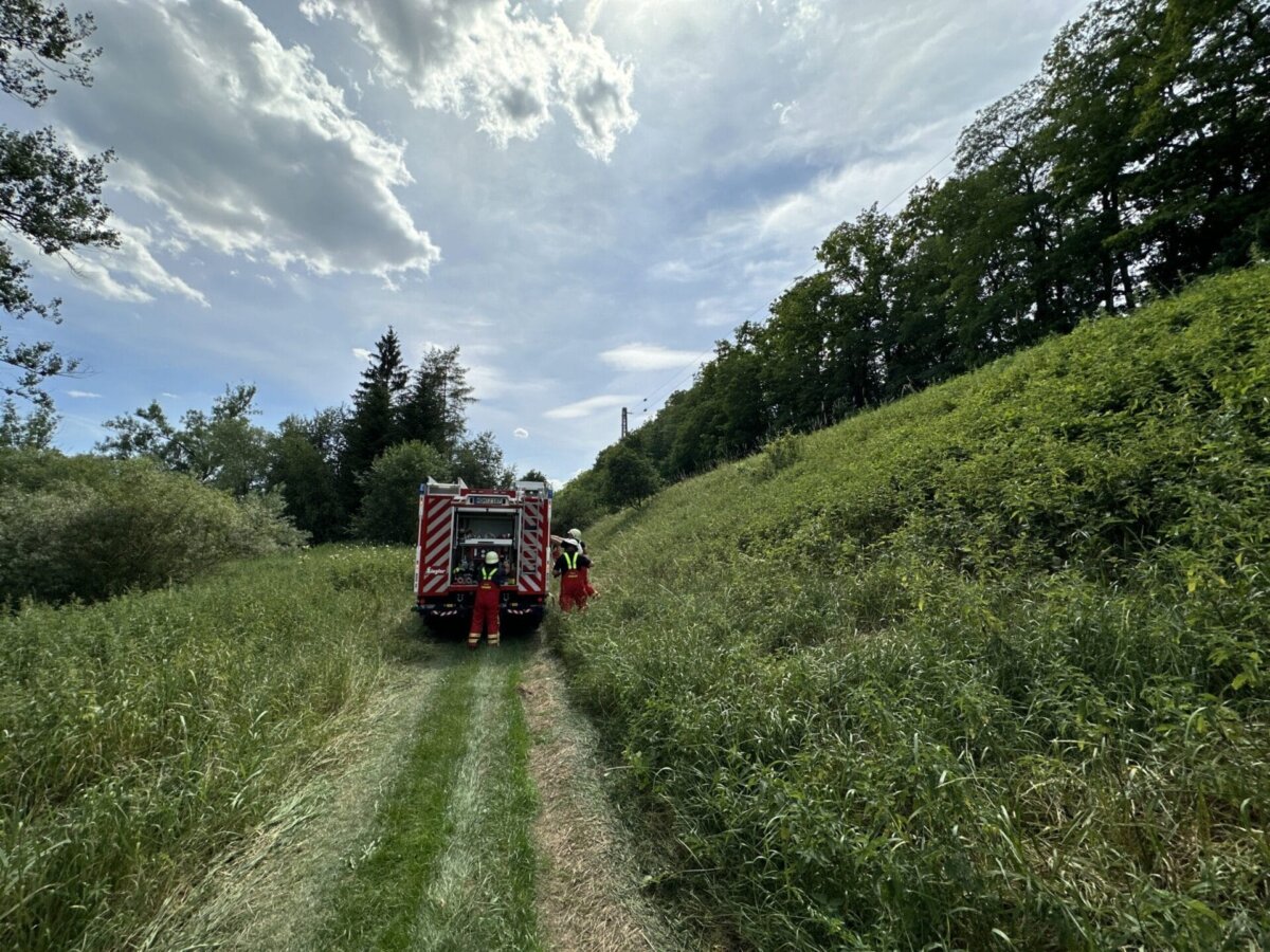 Das Landratsamt Rottweil warnt vor einer erhöhten Waldbrandgefahr. Foto: gg