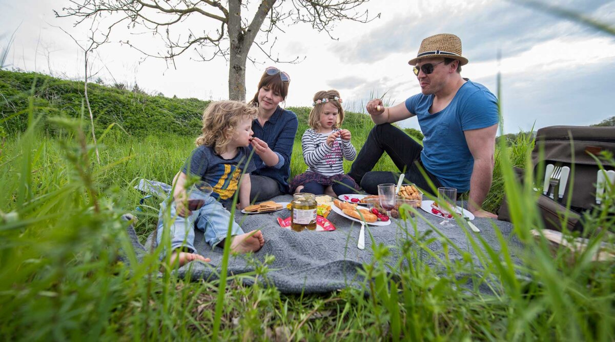 In Wiesen fühlen sich Zecken wohl. Foto: HUK-Coburg