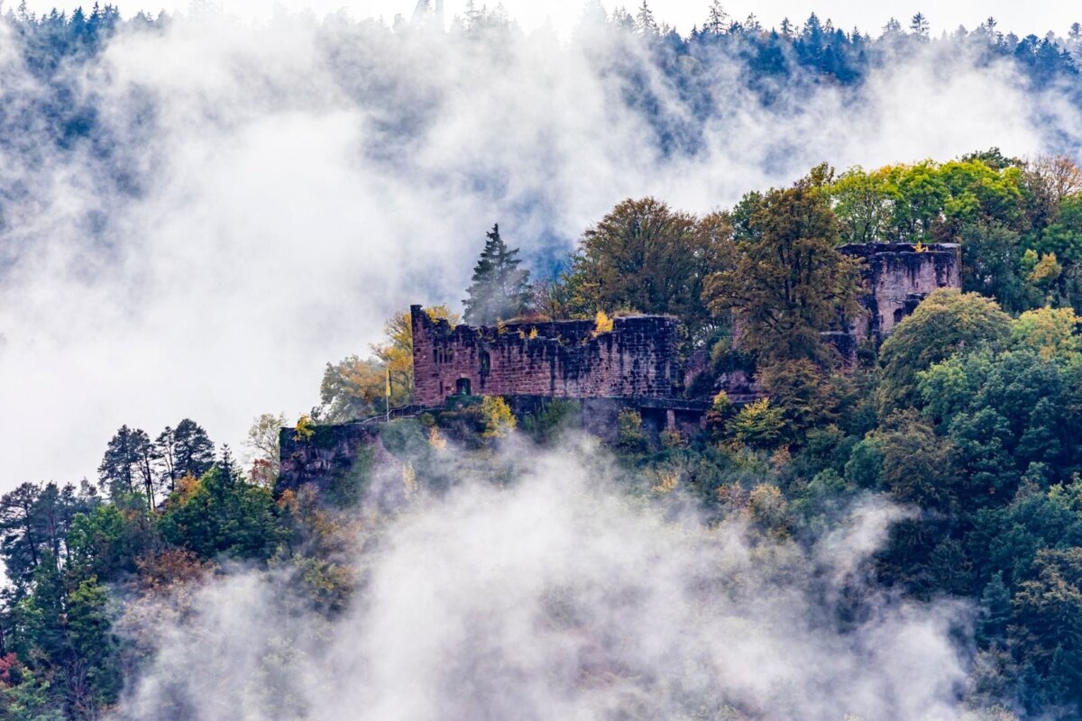 Die Burgruine Hohenschramberg im Nebel der Vergangenheit.
Foto: Rainer Langenbacher