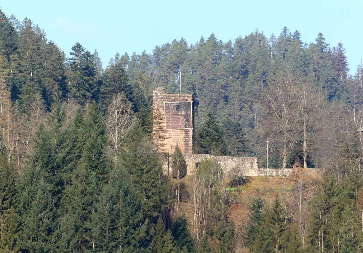Die Ruine Schilteck. Archiv-Foto: him