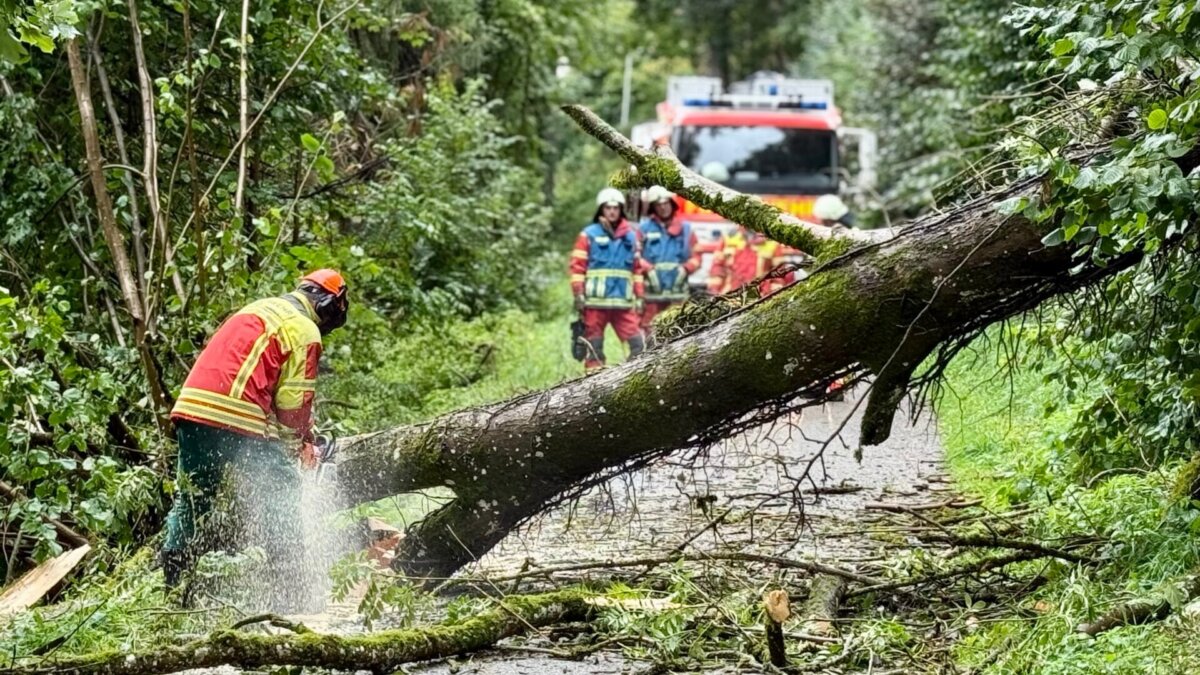 Jürgen Sigrist zersägt den gestürzten Baum Stück für Stück: Feuerwehreinsatz am Sonntagmorgen in Rottweil. Foto: Peter Arnegger
