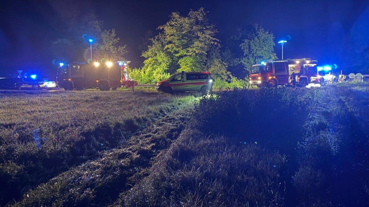 Durchs hohe Gras und eine Leitplanke: Hier verunfallte am Samstagmorgen ein BMW. Foto: Peter Arnegger