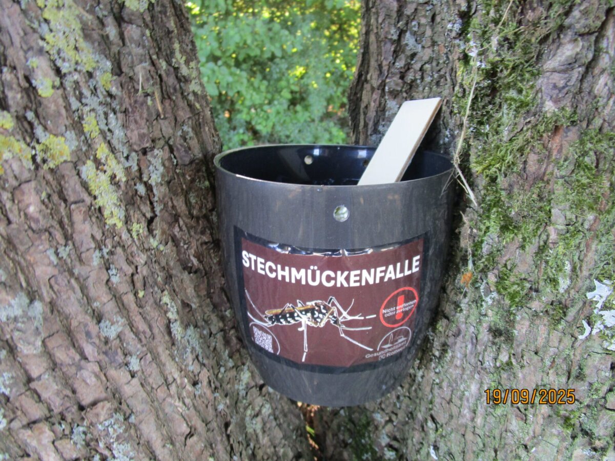 Entlang der A81 wurden auf den Rastplätzen Neckarburg Ost, Hasenrain und am Autohof Vöhringen spezielle Insektenfallen zum Monitoring der Tigermücken aufgestellt. Foto: pm