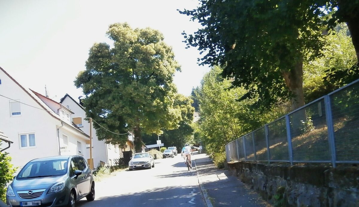 Radfahren die Steige hinauf ist kein reines Vergnügen - nicht nur wegen der Steigung. Archiv-Foto: him