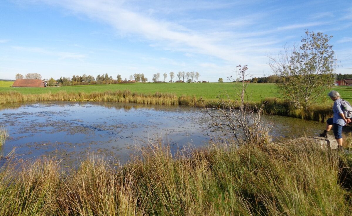 Sieht idyllisch aus, kann aber lebenswichtig sein: Löschwasserteich bei Aichhalden. Archiv-Foto: him