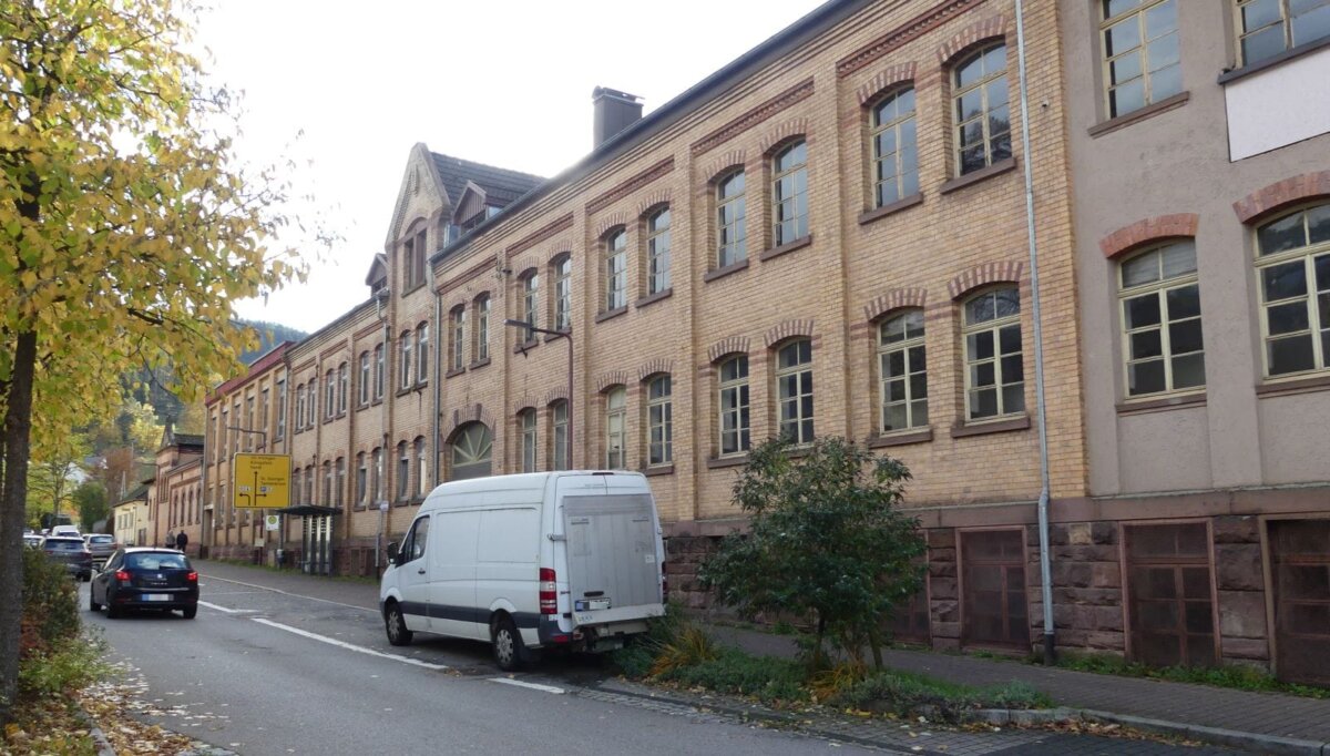 Ein historischer Industriebau in Schramberg geht zusehends vor die Hunde. Foto: him