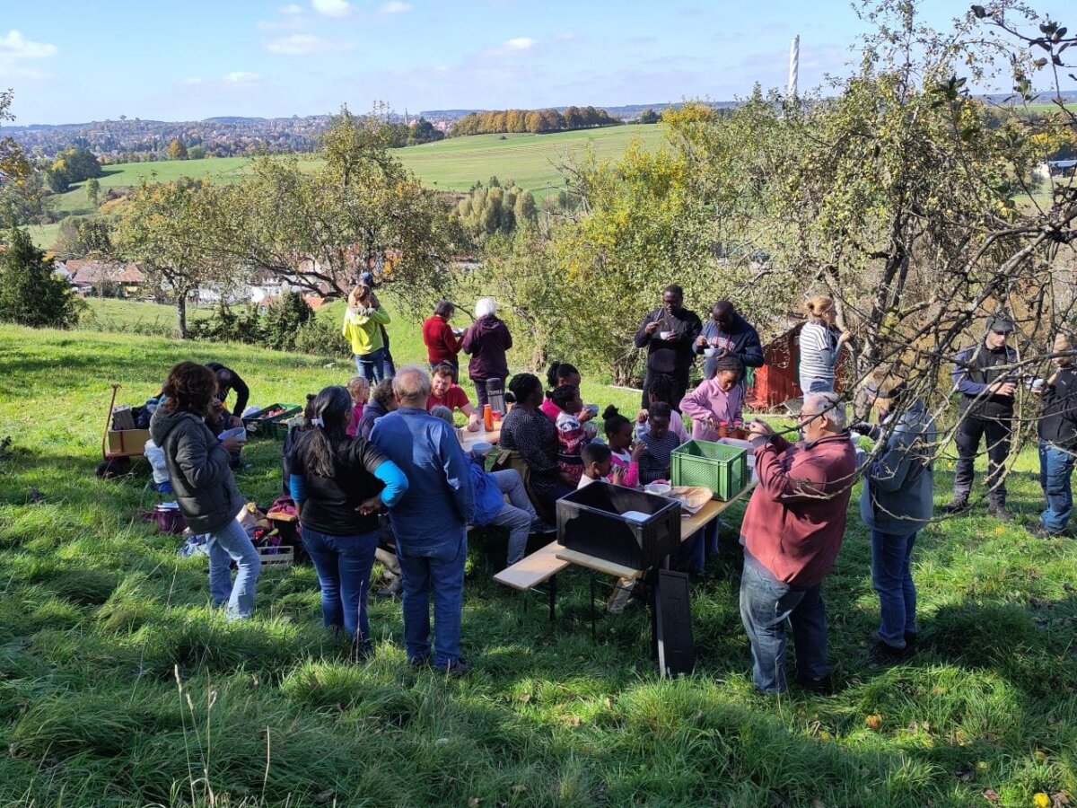 Apfelernte in Göllsdorf. Foto: pm