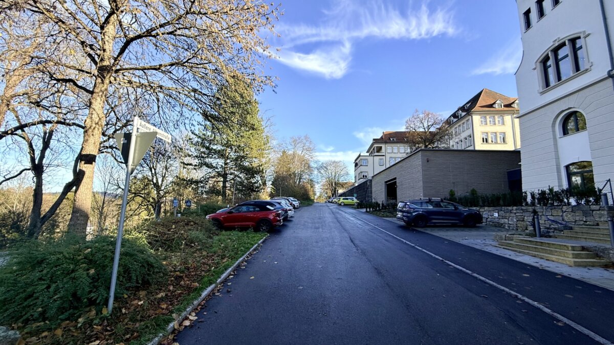 Die Äußere Alleenstraße. Foto: Peter Arnegger