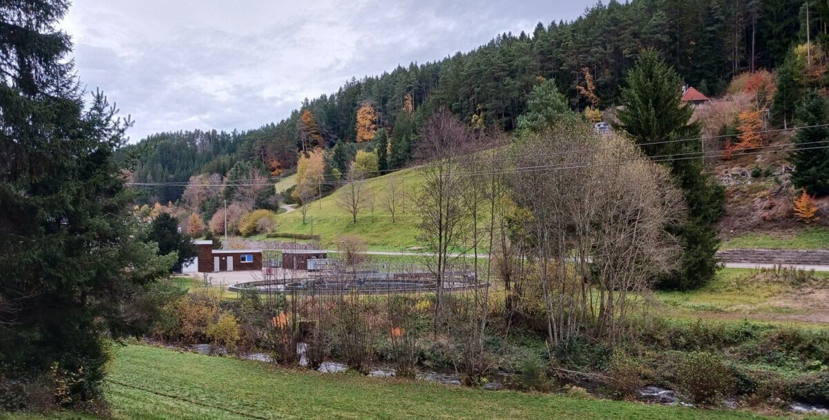 Die Tage der Tennenbronner Kläranlage sind gezählt. Foto: him