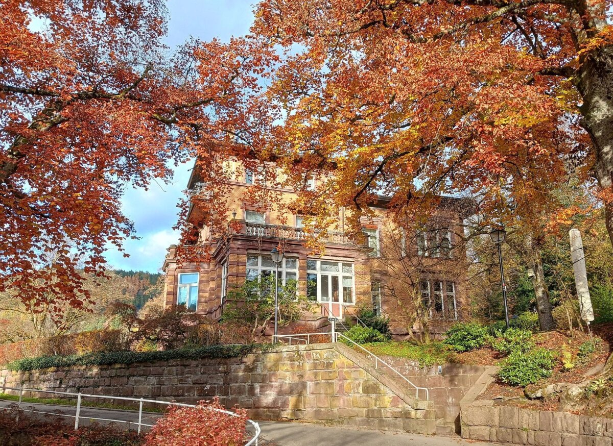 Und wieder fallen die Blätter im Park, ohne dass eine Lösung für die Villa Junghans in Aussicht stünde. Foto: him