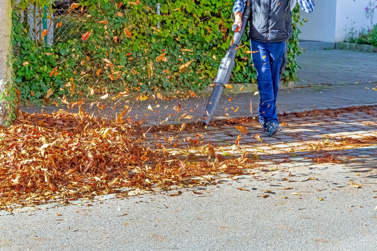 iStock-Symbolfoto