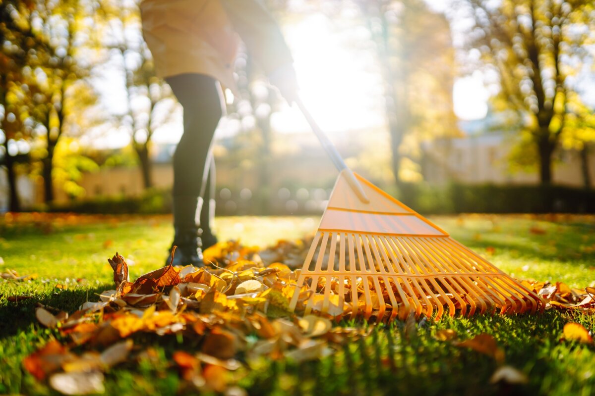 iStock-Symbolbild