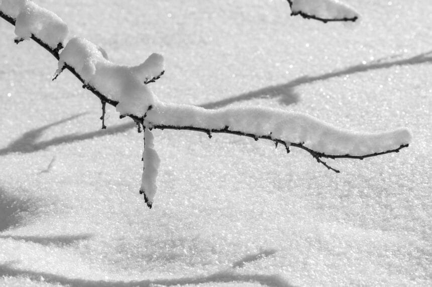 Symbol-Bild: Pixabay