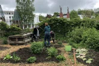 Der Gemeinschaftsgarten in Rottweil. Foto: Janina Niefer