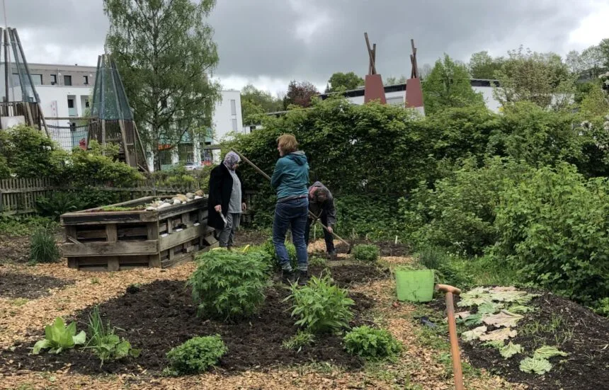 Der Gemeinschaftsgarten in Rottweil. Foto: Janina Niefer