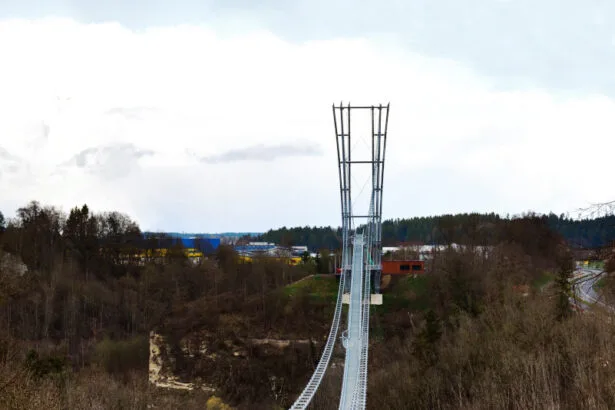 Kritischer Blick von außen: die Fußgänger-Hängebrücke in Rottweil. Foto: Peter Arnegger