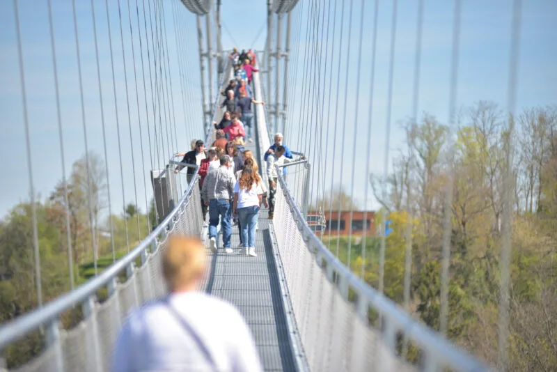 Über 25.000 Besucher beim Brückenfest? Neckarline-Betreiber zeigt sich „absolut zufrieden“