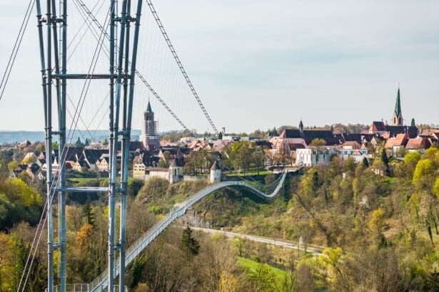 Neckarline, die neue Rottweiler Fußgängerhängebrücke, vom Berner Feld aus gesehen. Foto: Ralf Graner, pm