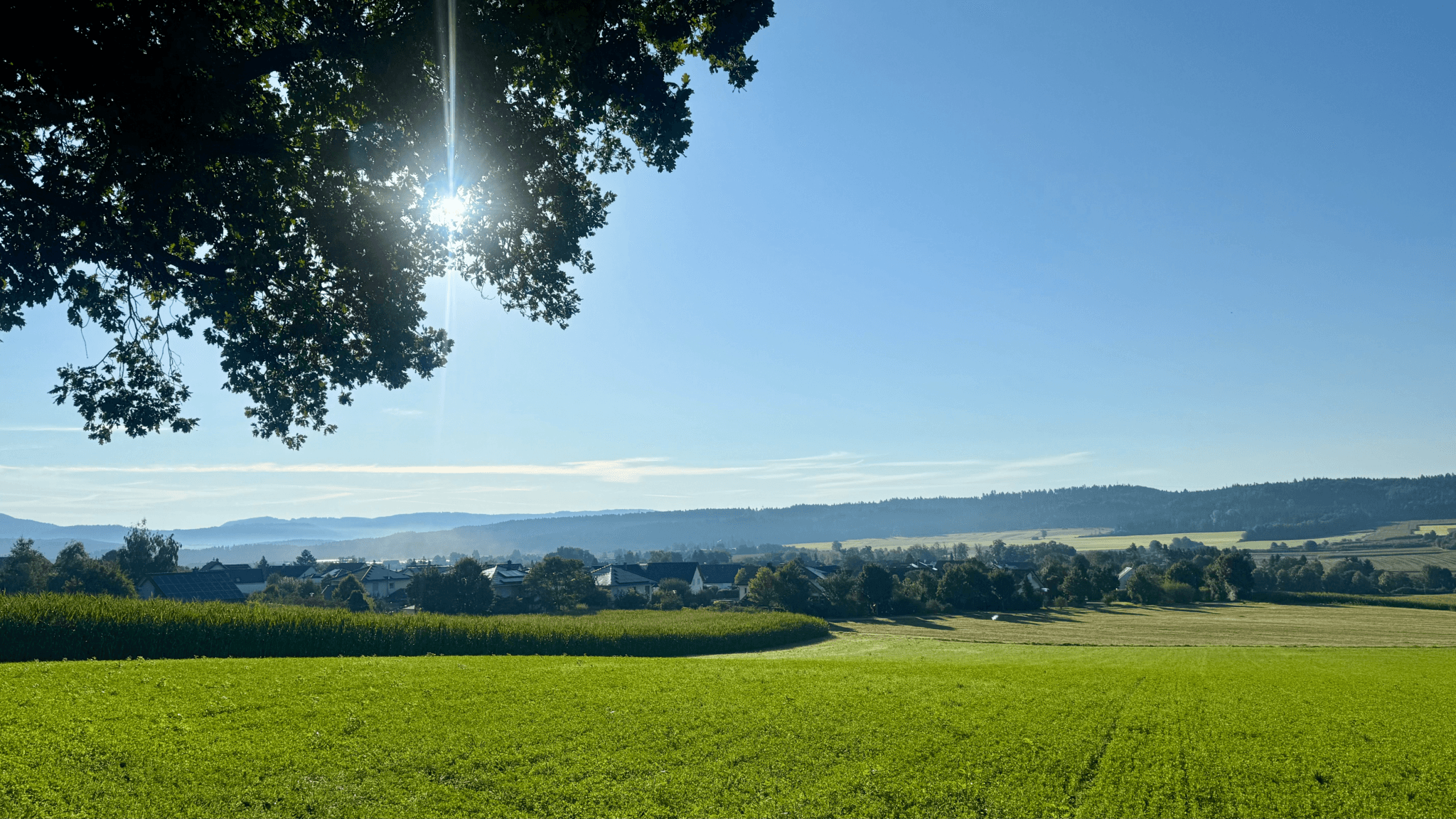 Blick auf Deißlingen-Lauffen. Foto: Peter Arnegger