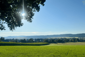 Blick auf Deißlingen-Lauffen. Foto: Peter Arnegger