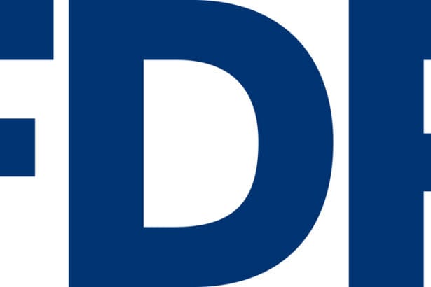 260624 fdp logo blau