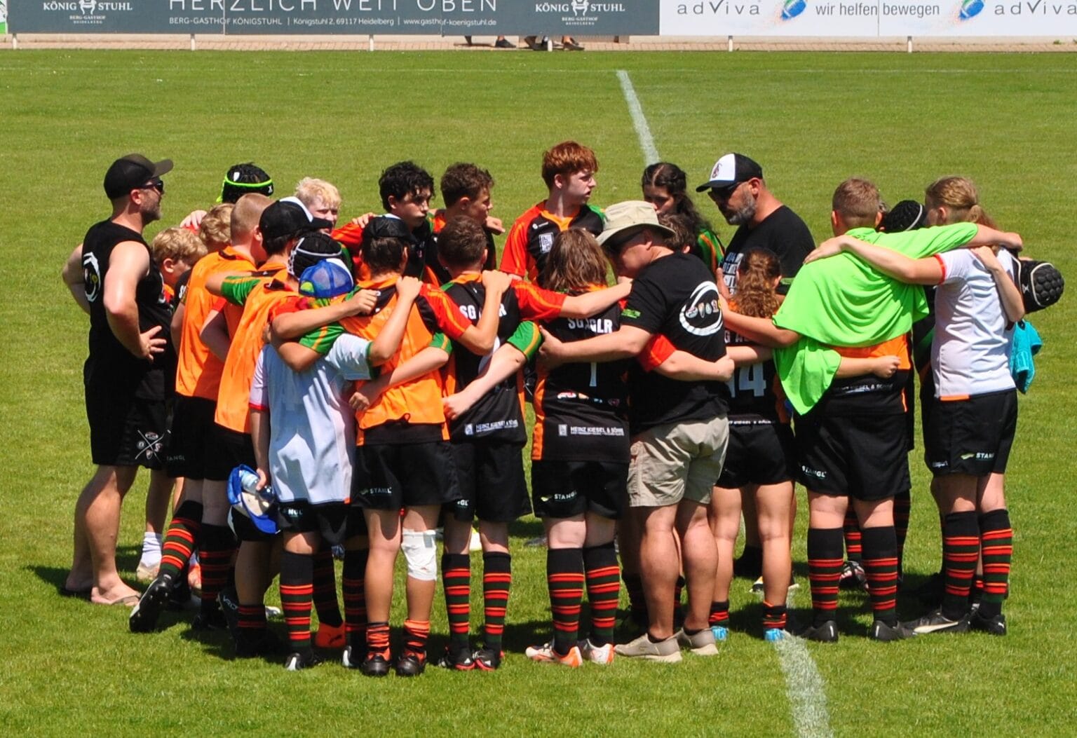 3, dm u 14; heidelberg