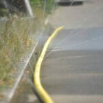 dsc3196