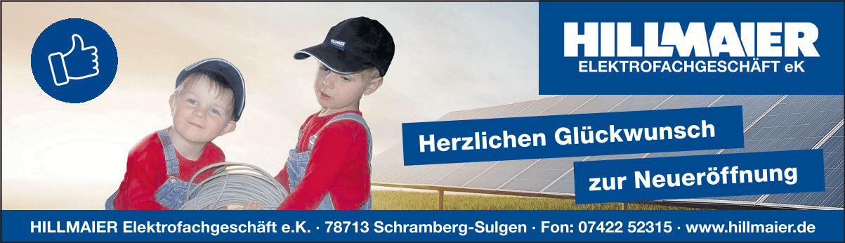 hillmaier 3sp39