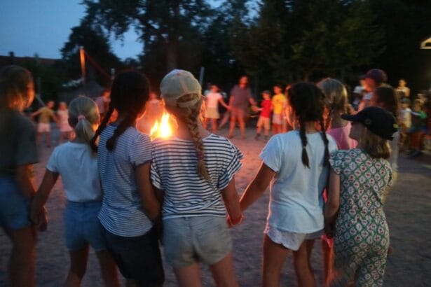 waldorfschule johanni juni 26 (25)