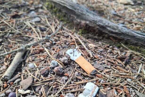 zigarettenkippe auf dem waldboden (quelle forstamt rottweil)