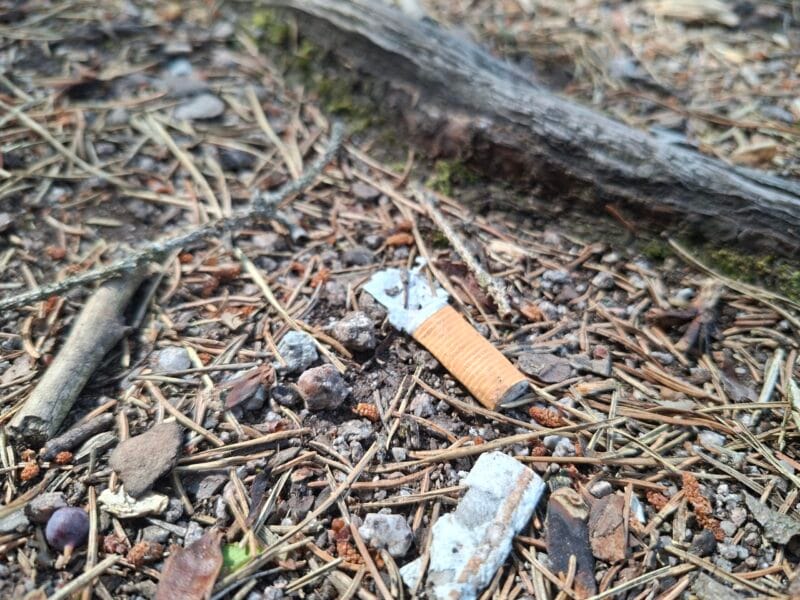 zigarettenkippe auf dem waldboden (quelle forstamt rottweil)