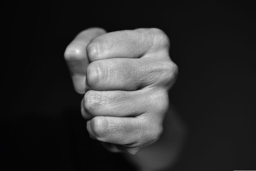 annabel p fist 4117726