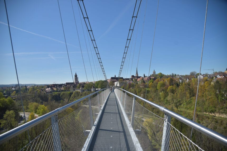 dsc 1779 3098