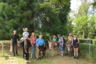 eselreiten juli 26 (3)