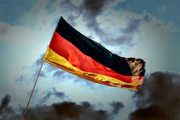 analogicus german 3504961
