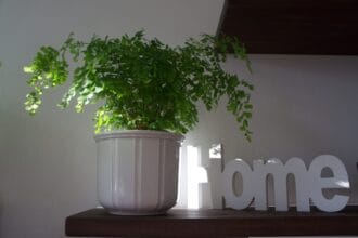 claudia felbermayer home 1798715