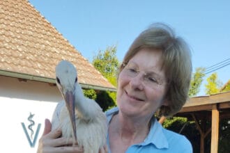 storch1000110126