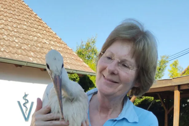storch1000110126