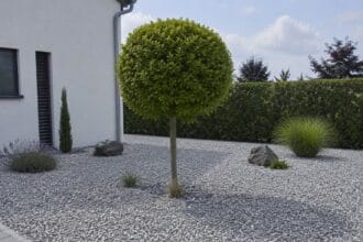 schottergarten