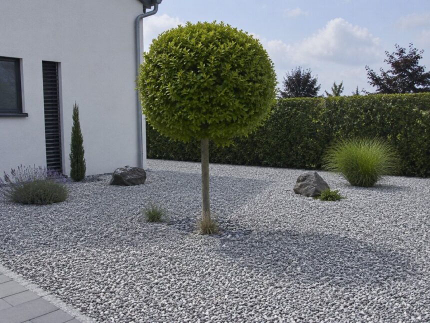 schottergarten